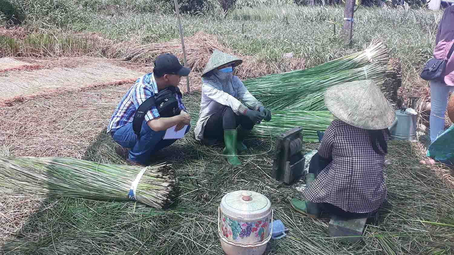 Child Rights Risk Assessment in the Natural Fibre Sector in Indonesia and Vietnam