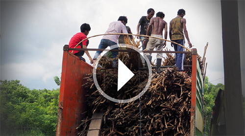 Video: The Challenges and Struggles We've Seen Among Supply Chain Workers in Indonesia