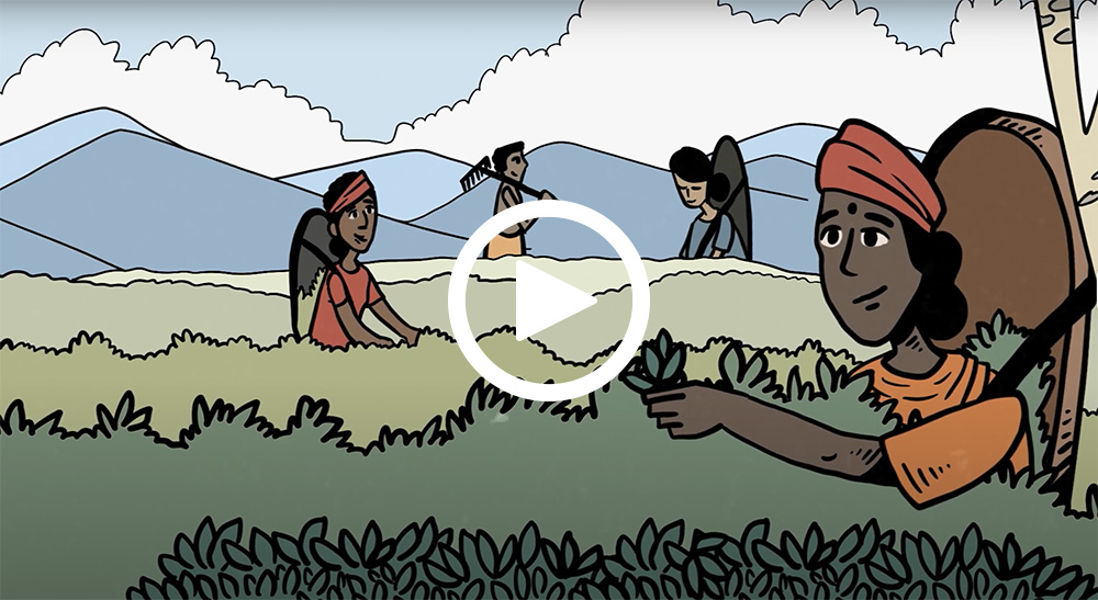 Video: How Brands and Retailers Can Support Women and Children in Sri Lanka’s Tea Industry