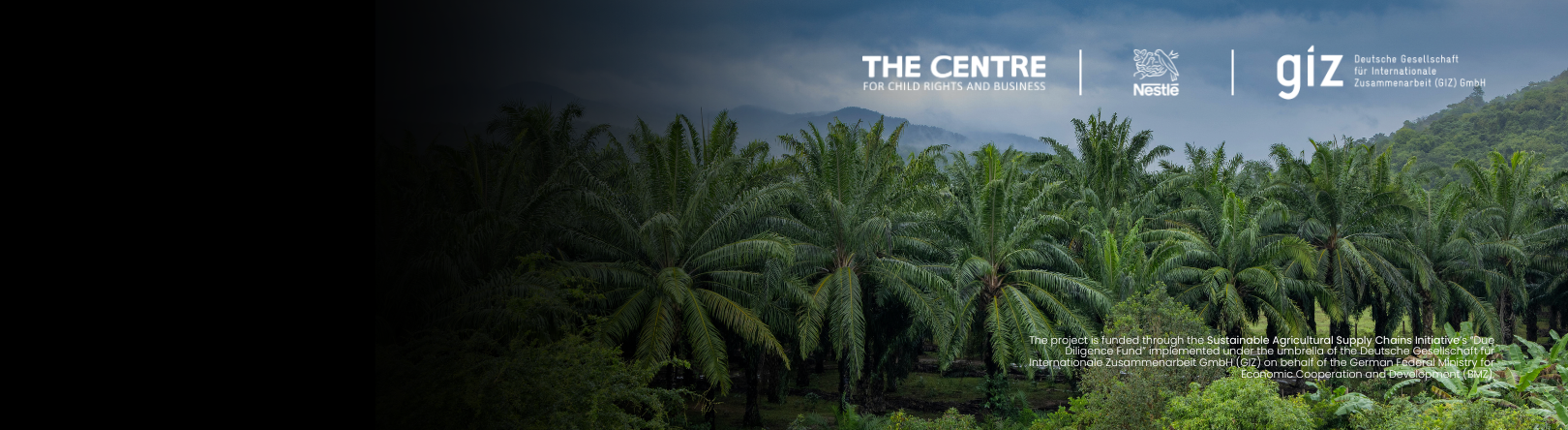 New Partnership between The Centre and Nestl&eacute; 